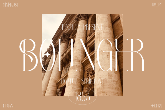 Bolinger Typeface Review: Elevating Digital Brand Identity