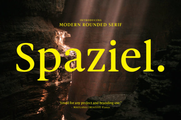 Spaziel: A Premium Serif Font for Authentic Small Business Branding
